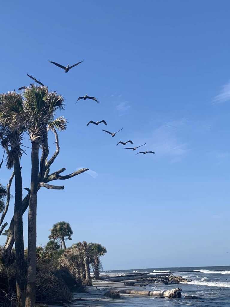 hunting island state park