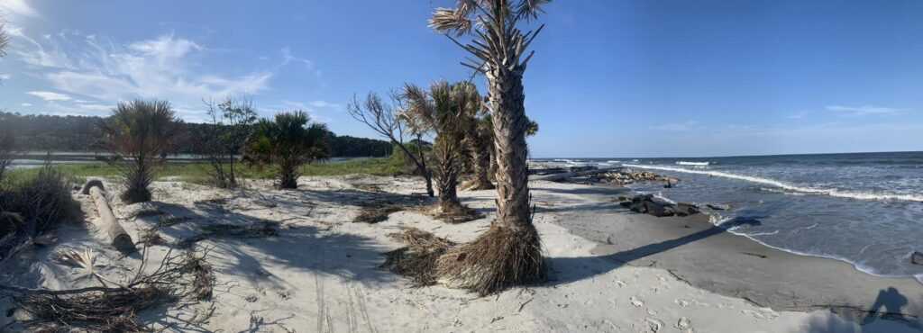 hunting island state park