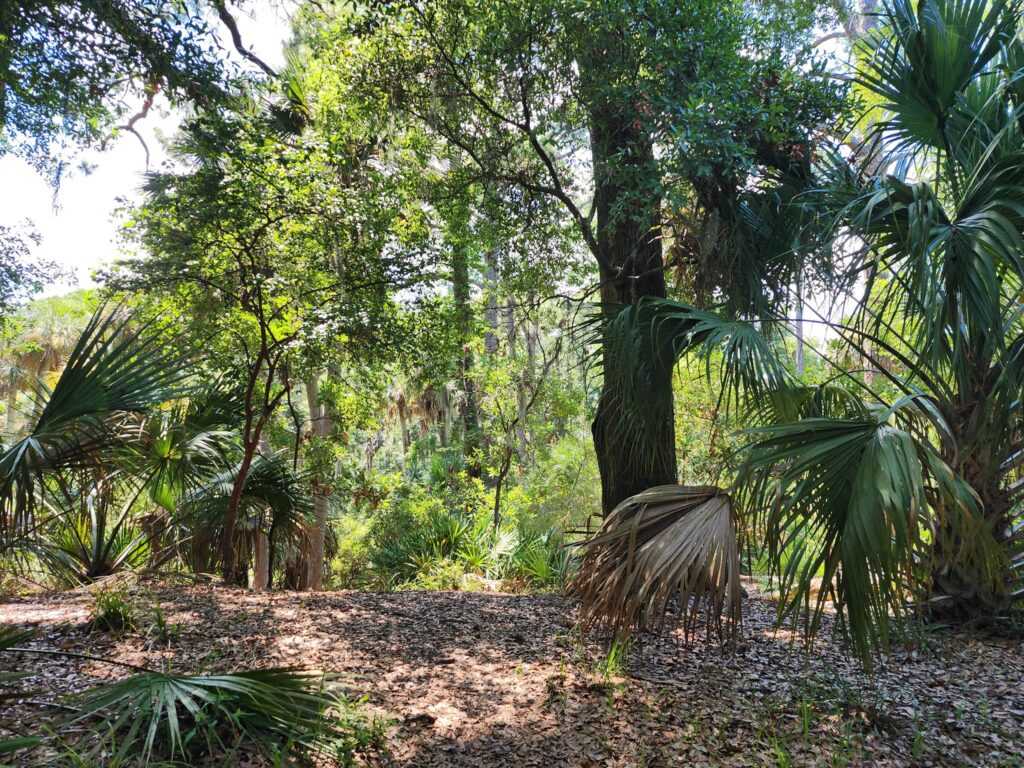 hunting island state park