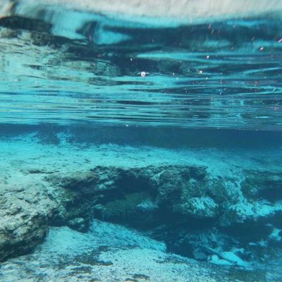 Snorkeling at gilchrist blue springs state park