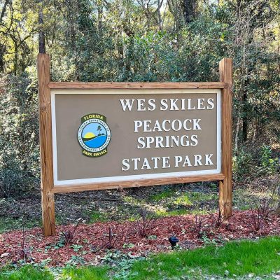 wes-skiles-peacock-springs-state-park